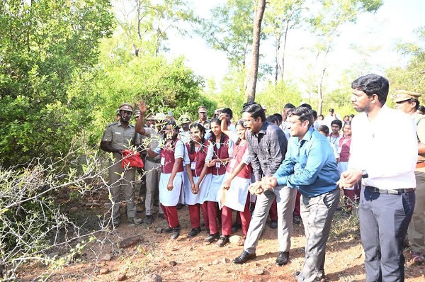 திருவண்ணாமலை மாவட்டத்தில் உலக வன தின விழா – மரக்கன்றுகள் நடும் நிகழ்வு!