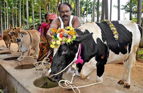 தமிழ்நாடு அரசு – கால்நடை பண்ணை அமைப்பதற்கு மானிய உதவி!