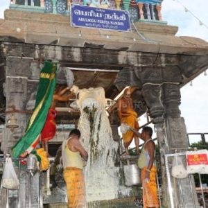 திருவண்ணாமலை அருணாச்சலேஸ்வரர் கோவிலில் வைகாசி மாத அமாவாசை பிரதோஷம்!
