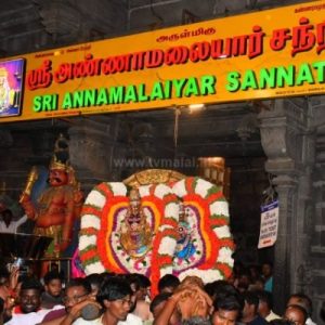 திருவண்ணாமலை அண்ணாமலையார் திருக்கோவிலில் பங்குனி உத்திர திருக்கல்யாண வைபவம்!