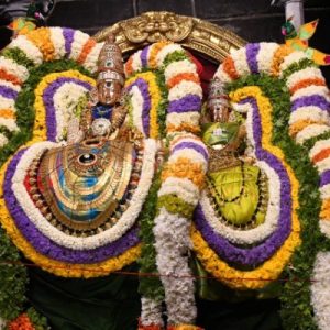 திருவண்ணாமலை அருள்மிகு அருணாசலேஸ்வரர் திருக்கோயில் சித்திரை வசந்த உற்சவம் – Day 8