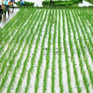 Agri-Business Fair 2025 to Be Held in Chennai with Mega Exhibition