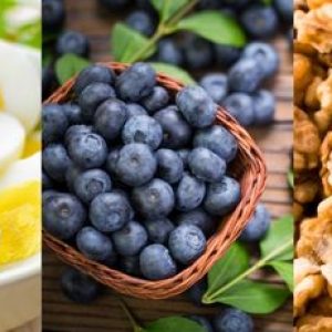 Foods That Support Brain Power and Mental Sharpness