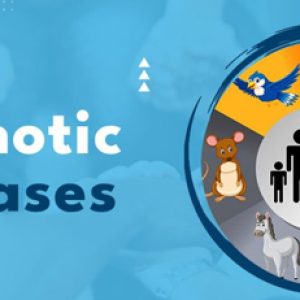Having pets at home? Then, please be careful about these diseases that can affect you!!