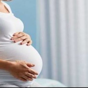 CREATOR: gd-jpeg v1.0 (using IJG JPEG v62), quality = 100