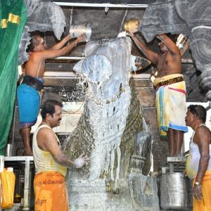 திருவண்ணாமலை அருணாச்சலேஸ்வரர் கோவிலில் பங்குனி மாத பௌர்ணமி பிரதோஷம்!