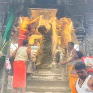 திருவண்ணாமலை அருணாச்சலேஸ்வரர் கோவிலில் ஆடி மாத அமாவாசை பிரதோஷம்!