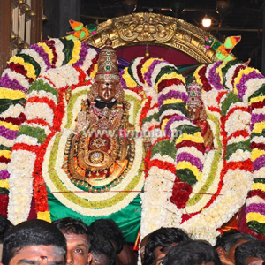 திருவண்ணாமலை அருள்மிகு அருணாசலேஸ்வரர் திருக்கோயில் சித்திரை வசந்த உற்சவம் ஐந்தாம் நாள்!