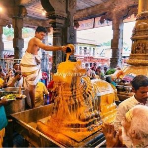 திருவண்ணாமலை அருணாச்சலேஸ்வரர் கோவிலில் புரட்டாசி மாத அமாவாசை பிரதோஷம்!