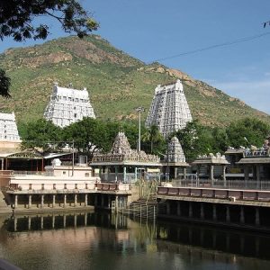 திருவண்ணாமலை அருணாசலேஸ்வரர் திருக்கோவில் – பங்குனி உத்திரம் திருக்கல்யாண உற்சவம்!